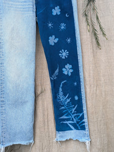 Cyanotype Denim Jeans Mugwort & Marigold