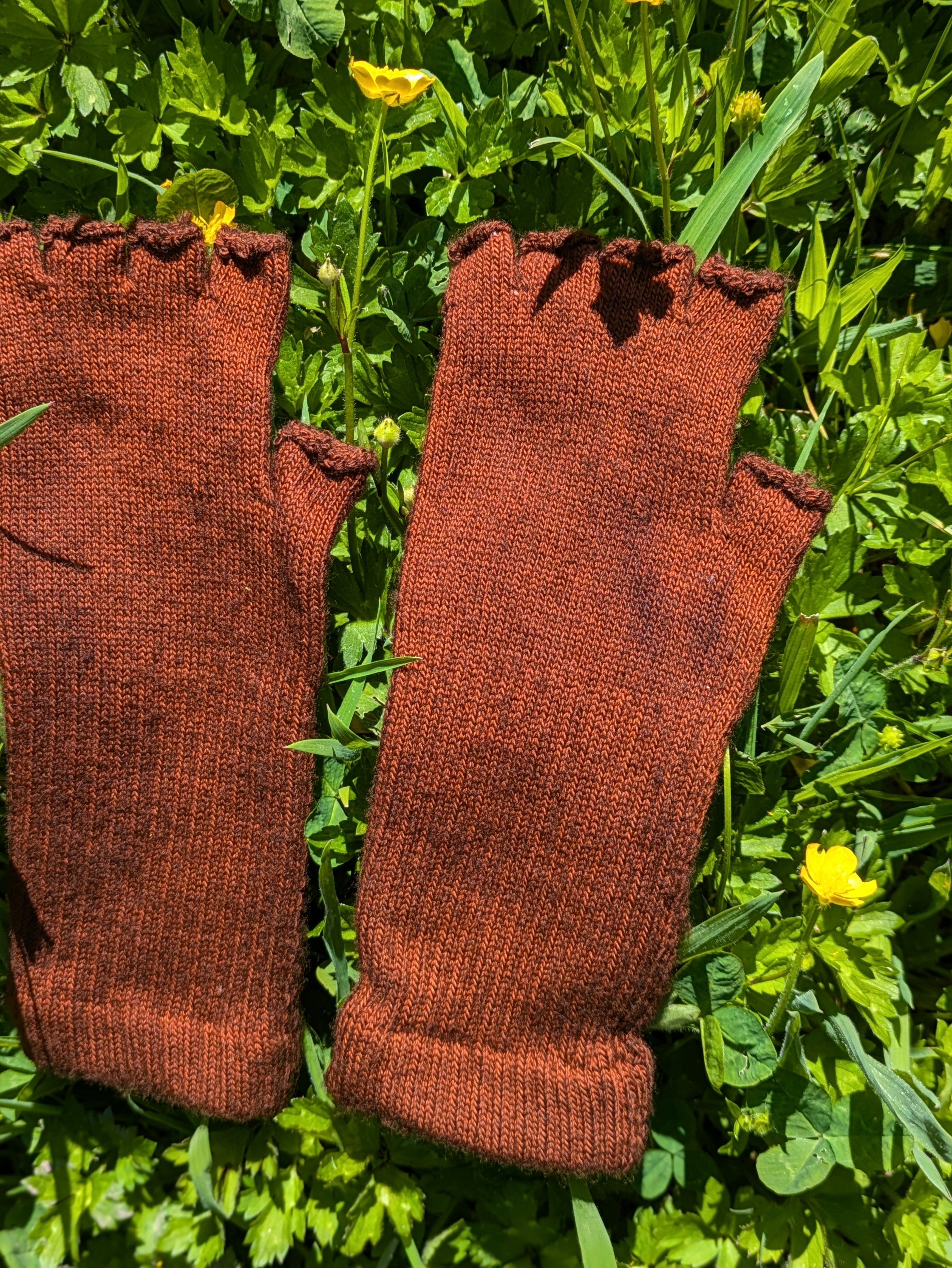 Wool Fingerless Gloves