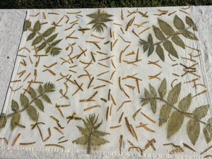 Botanically Printed Organic Calico Tea Towel 4