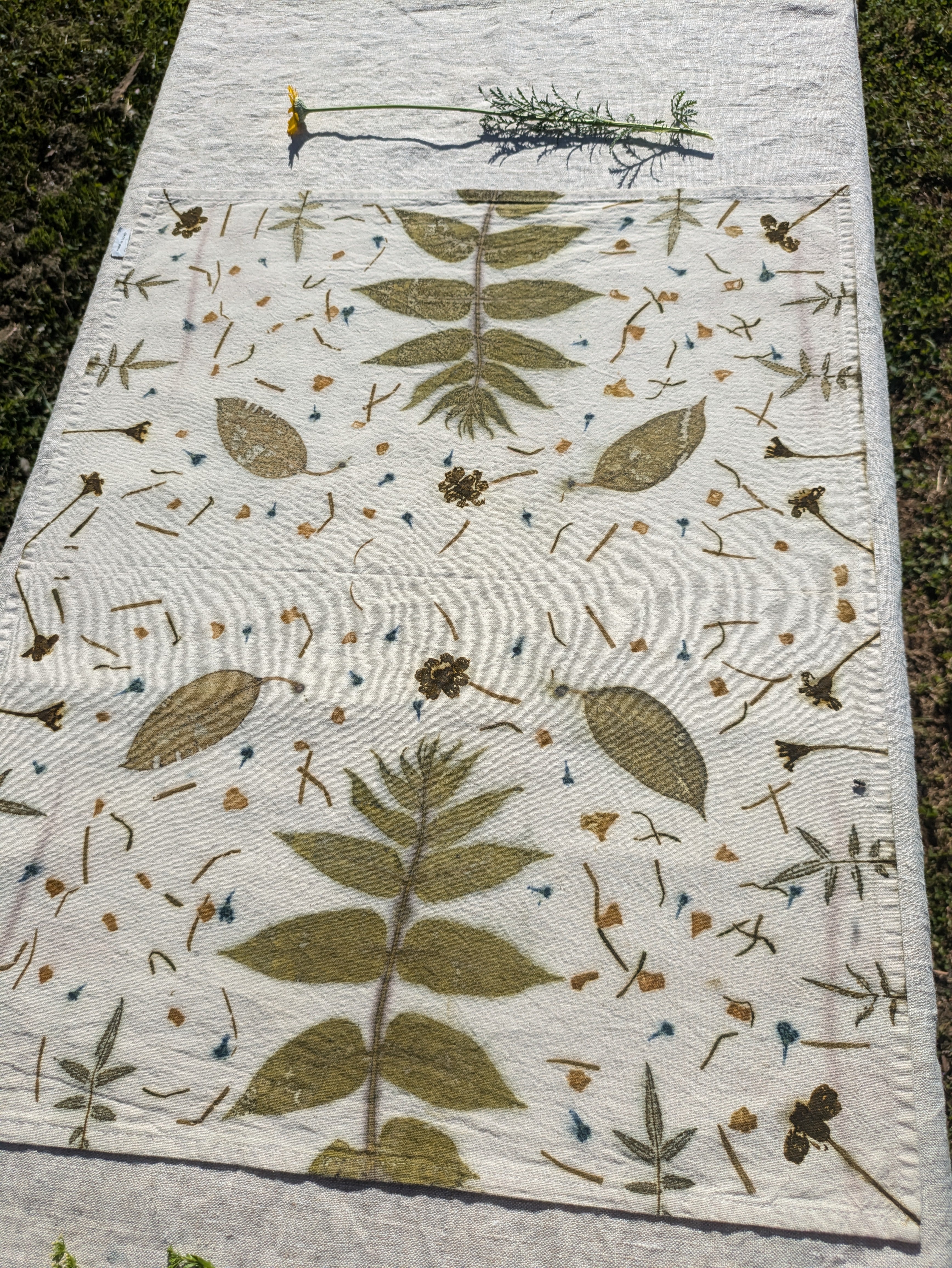 Botanically Printed Organic Calico Tea Towel 2