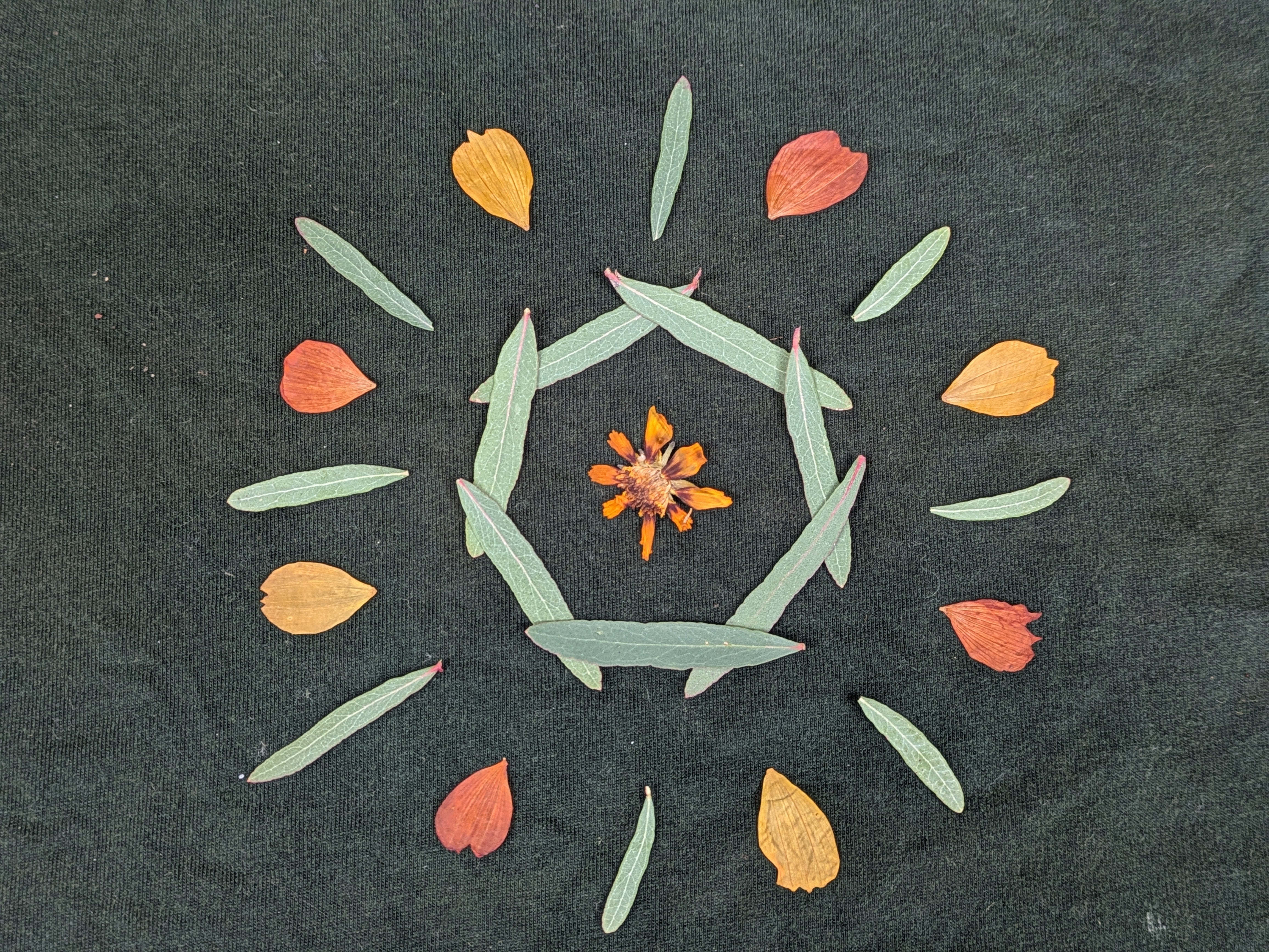 Kids Botanical Tee ~ Forest ~ (Age 6)
