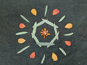Kids Botanical Tee ~ Forest ~ (Age 6)
