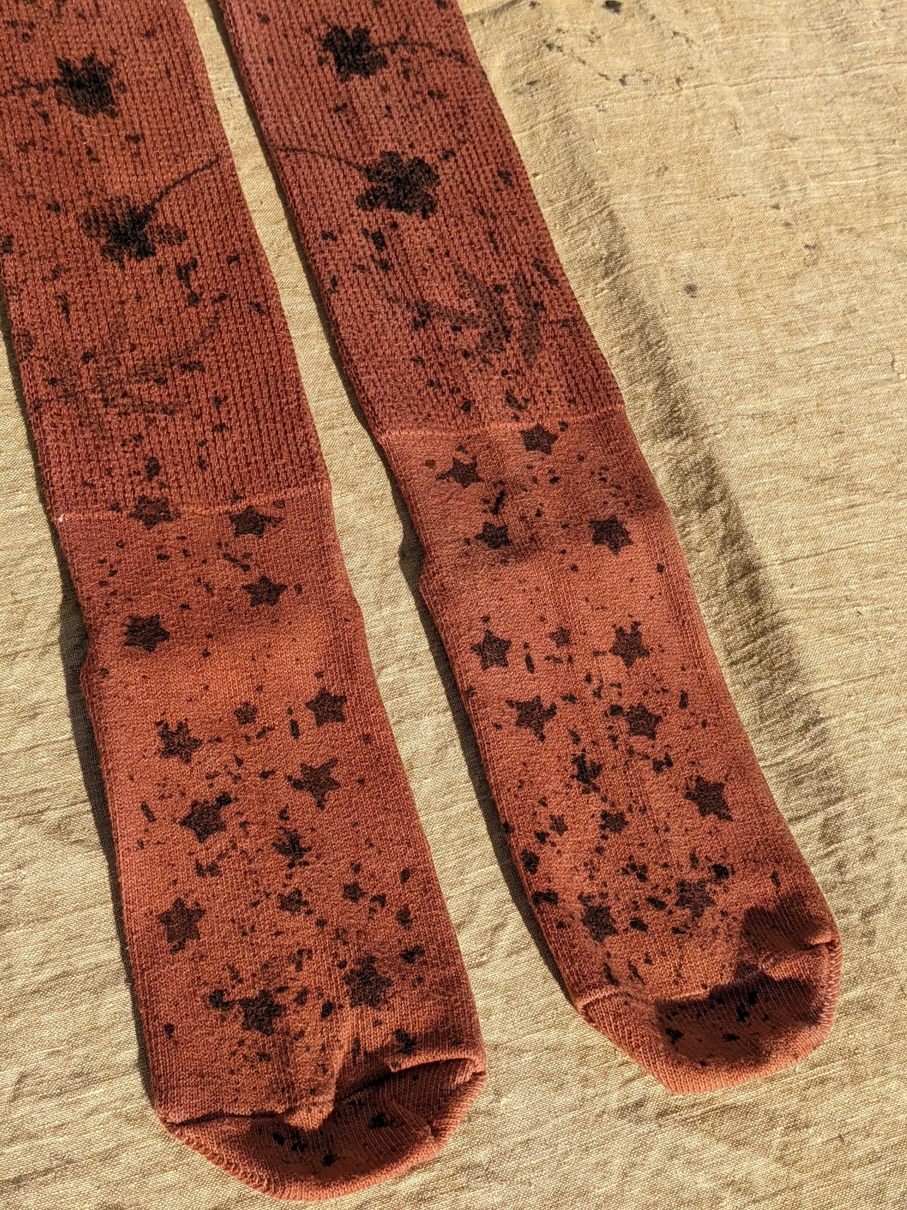 Thigh-High Cotton Wanderer Socks