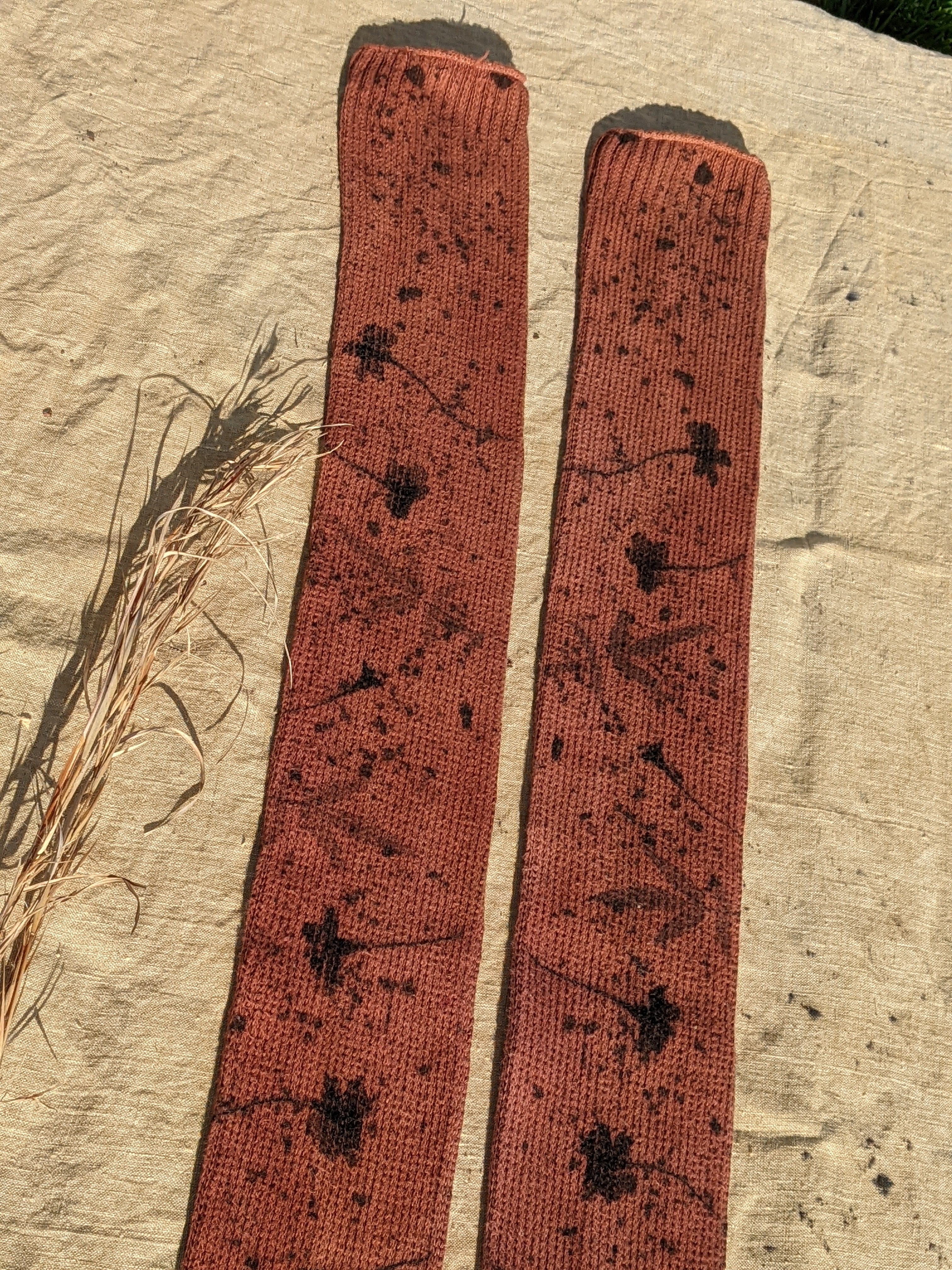 Thigh-High Cotton Wanderer Socks