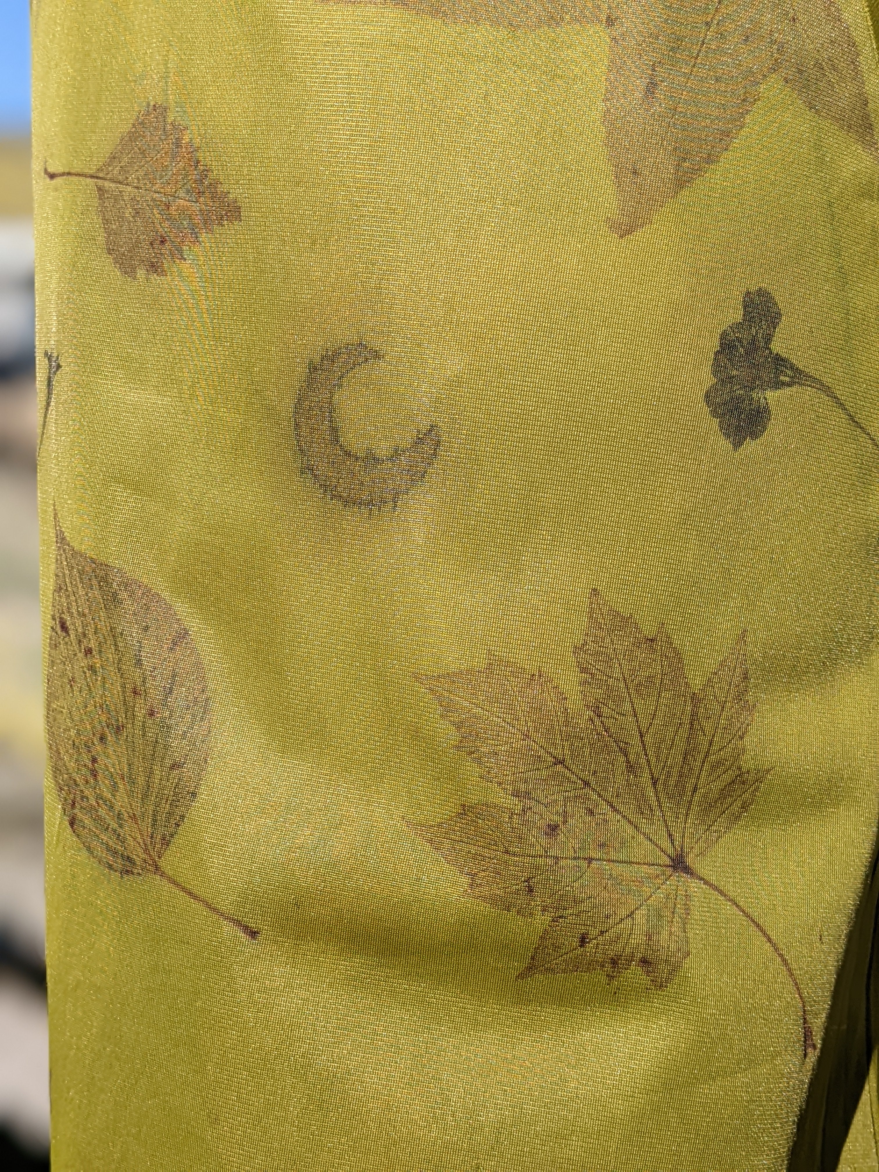 Vintage Lace Petticoat Dress ~Madder Leaf ~ Grounded Moss