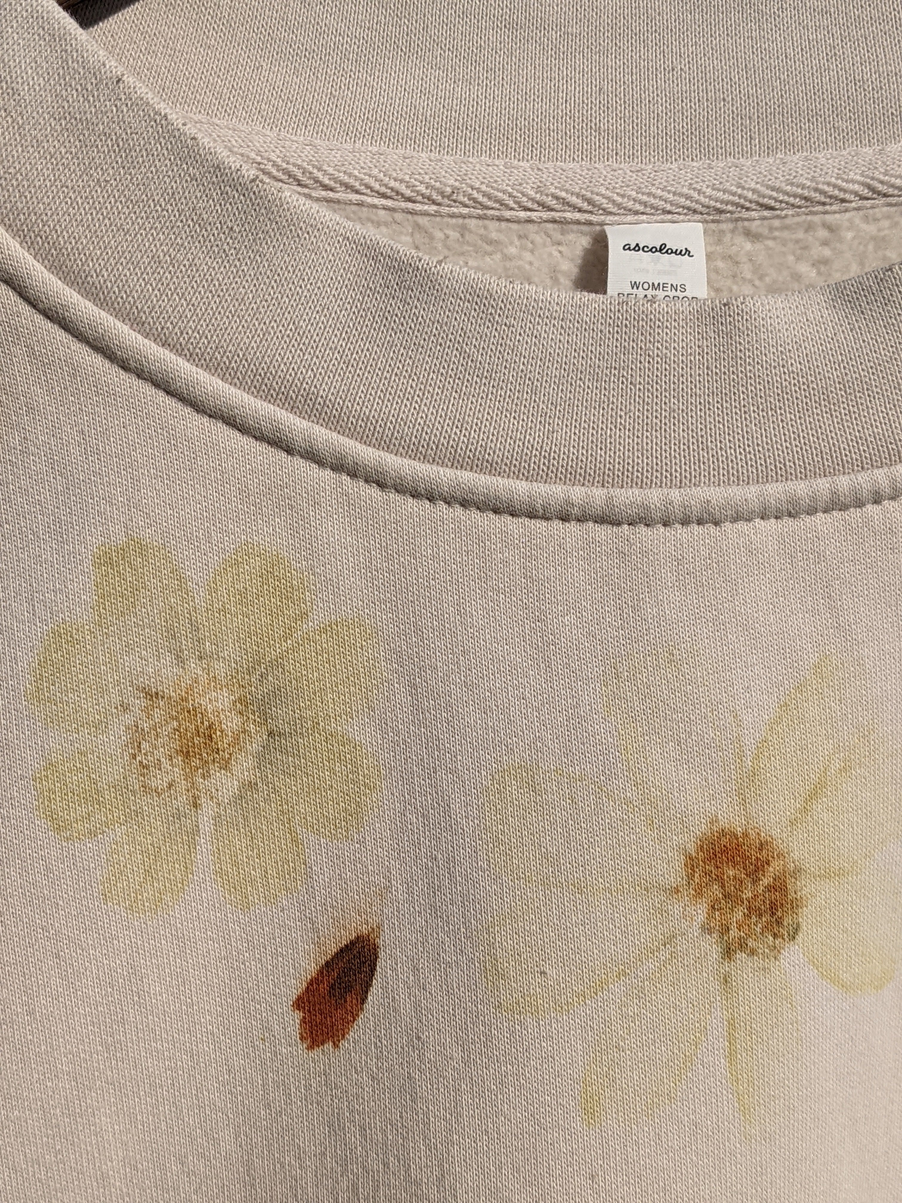 Botanical Relaxed Cropped Crew ~ Flower Pounded ~ L