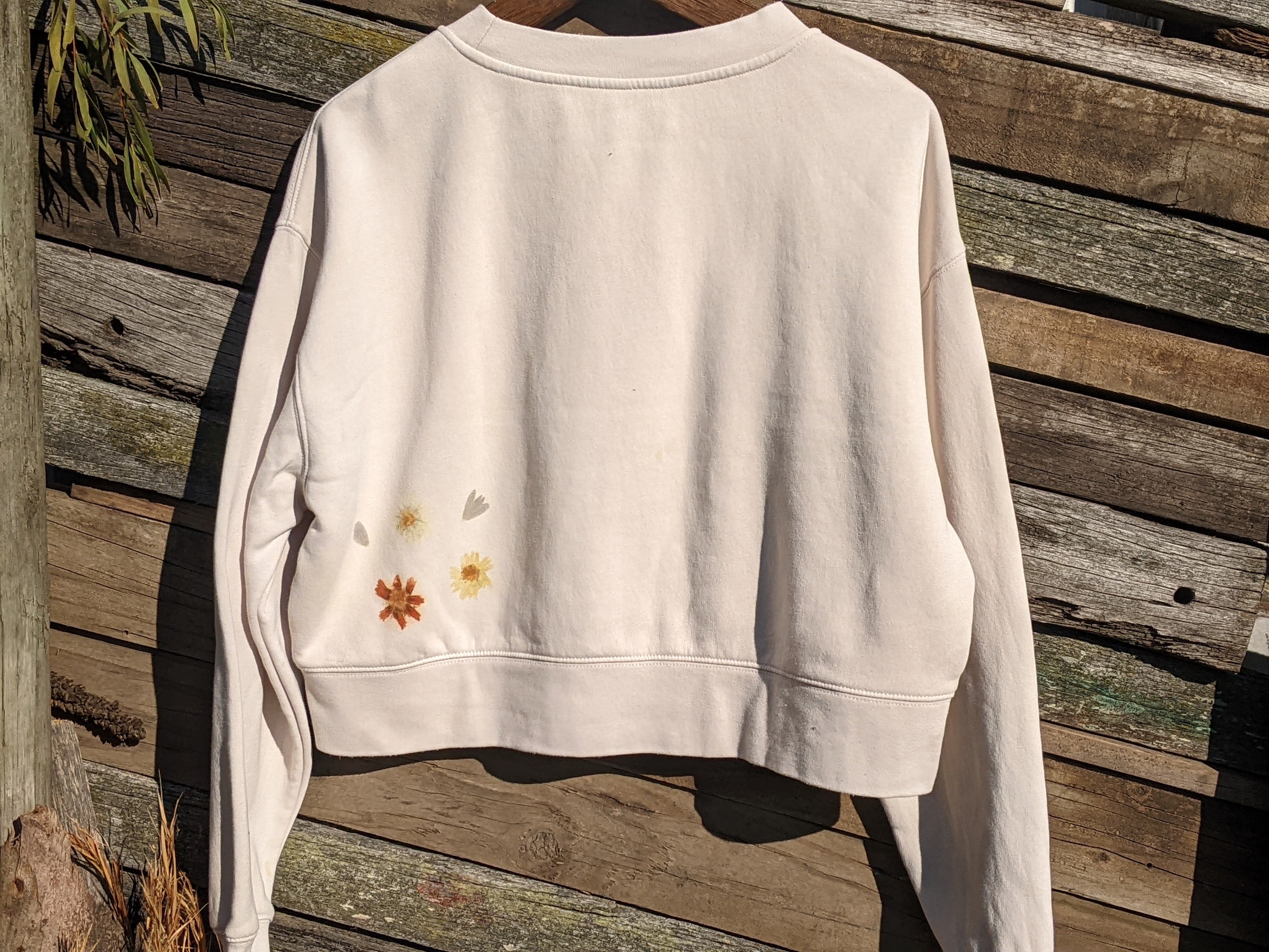 Botanical Relaxed Cropped Crew ~ Flower Pounded ~ L