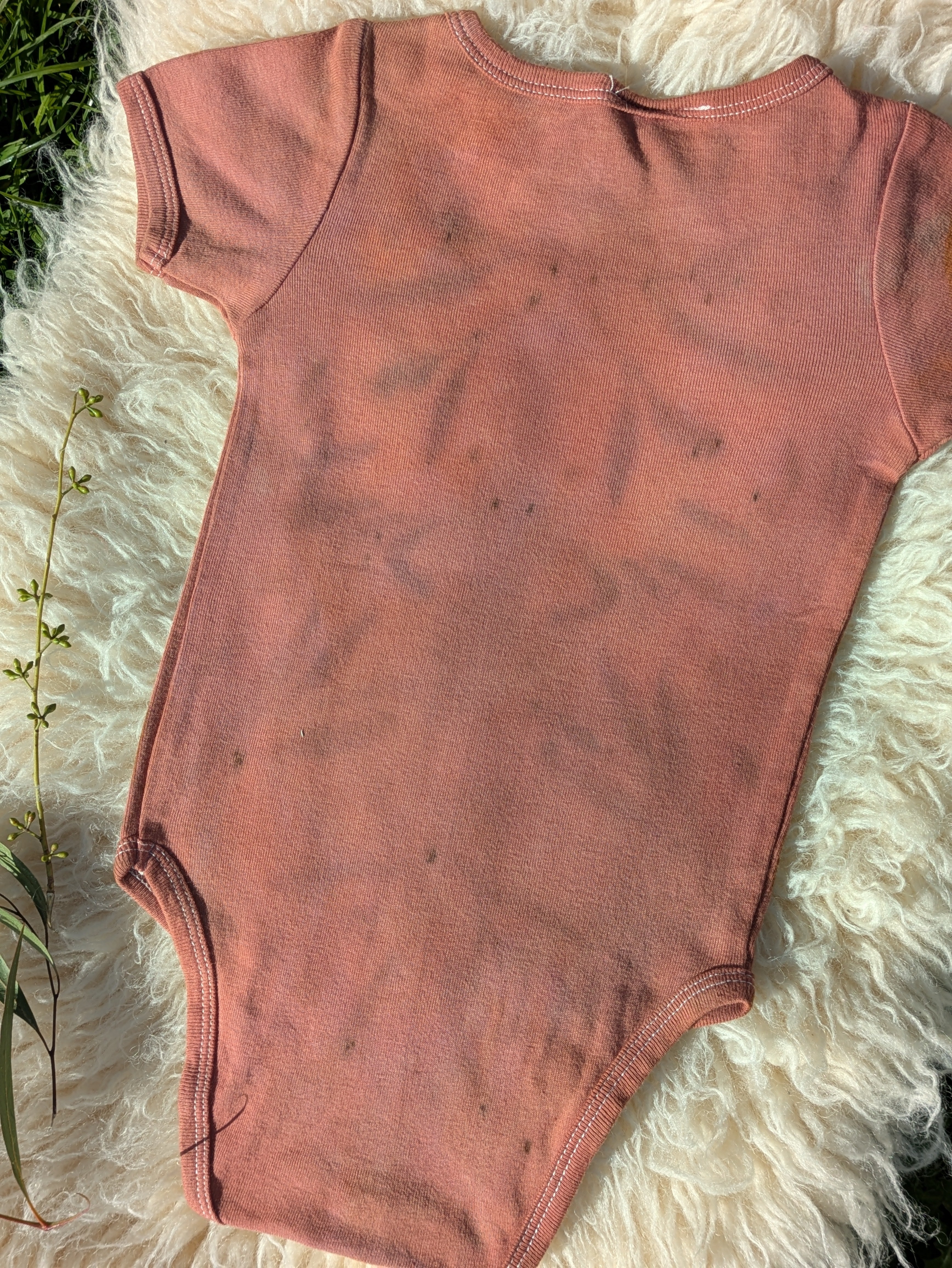 Organic Cotton Infant One-Piece ~ Plum Blossom ~ 12-18mths