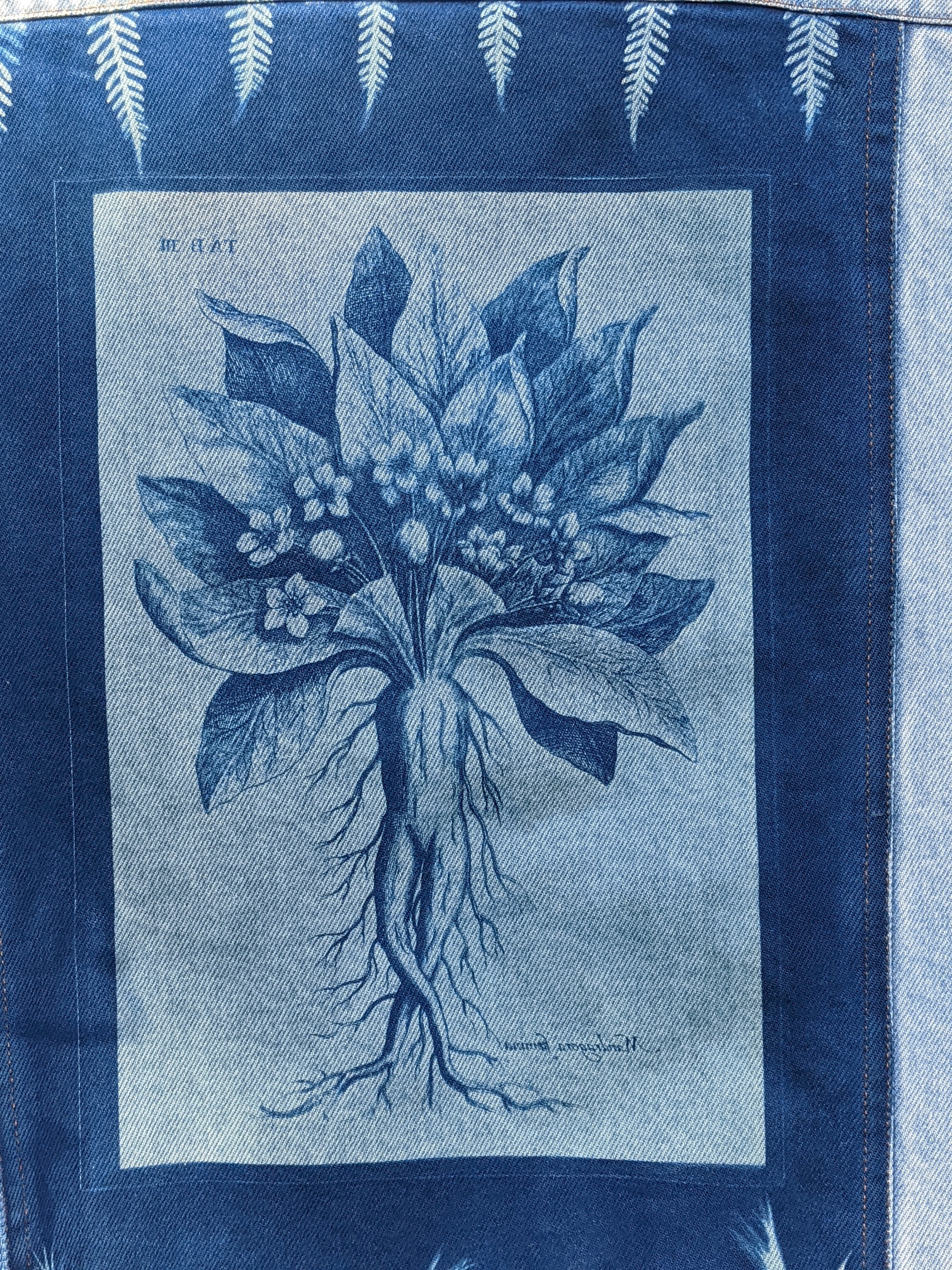 Cyanotype Denim Jacket ~ Mandrake Root