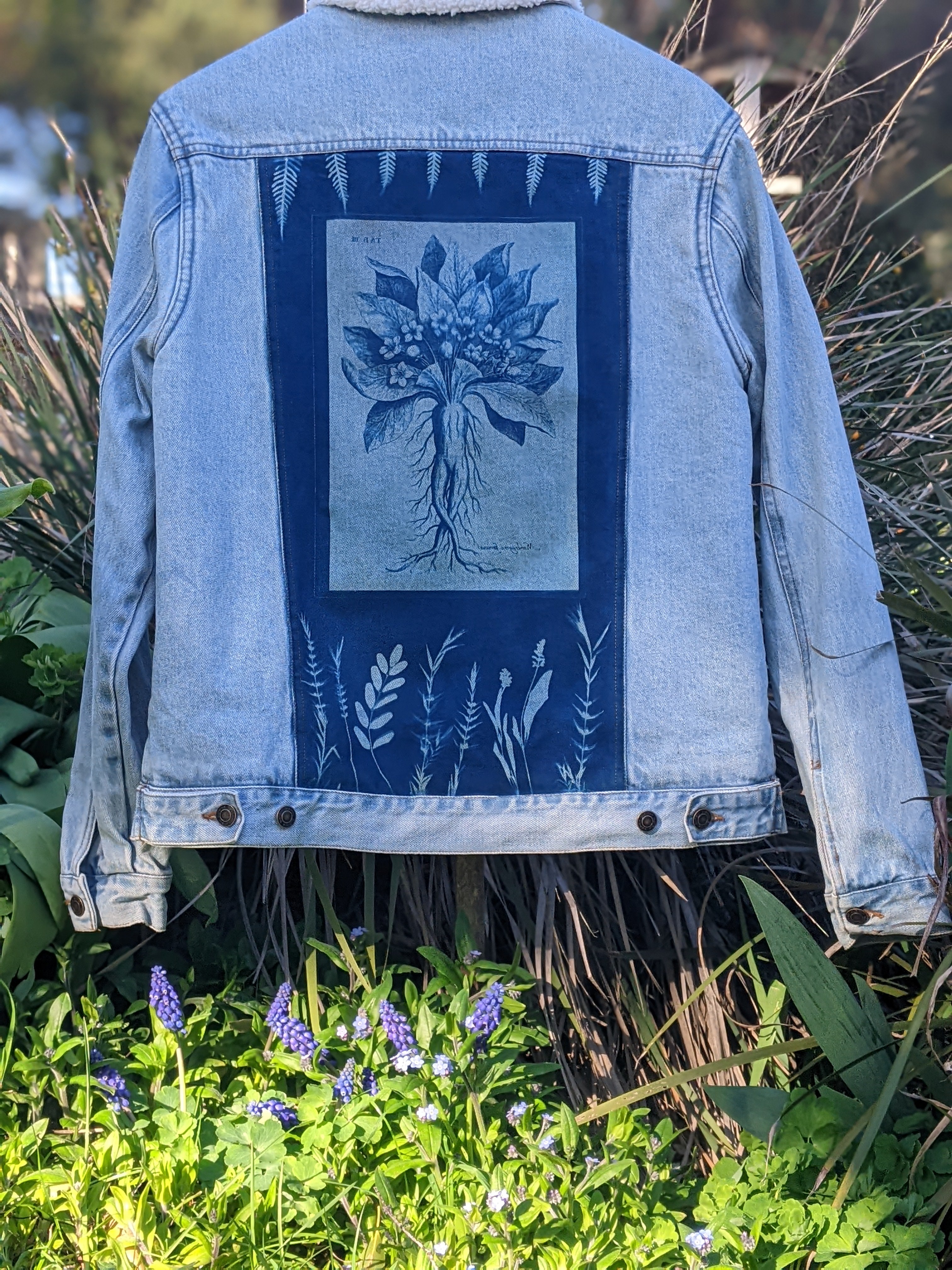 Cyanotype Denim Jacket ~ Mandrake Root