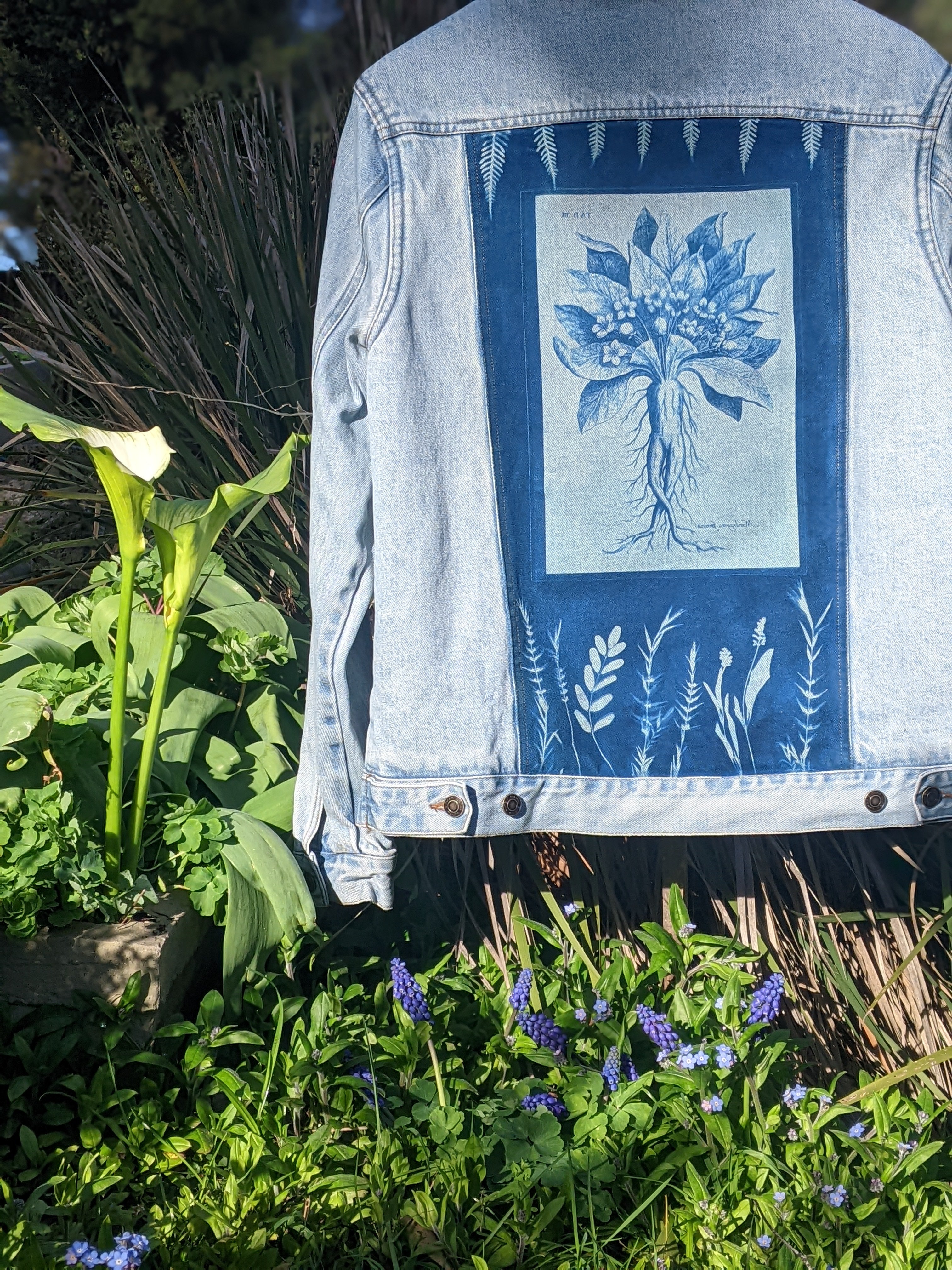 Cyanotype Denim Jacket ~ Mandrake Root