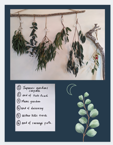 A guide to eucalyptus and botanical printing on wool and silk (ebook)